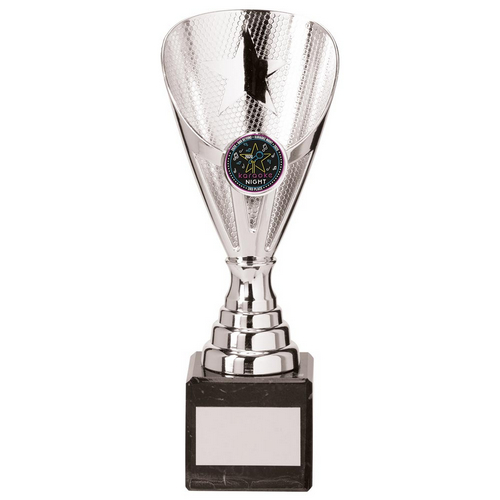Rising Stars Premium Plastic Trophy | Silver | 200mm | E4294C