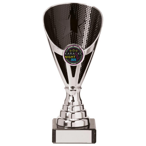 Rising Stars Premium Plastic Trophy | Silver & Black | 170mm | S7