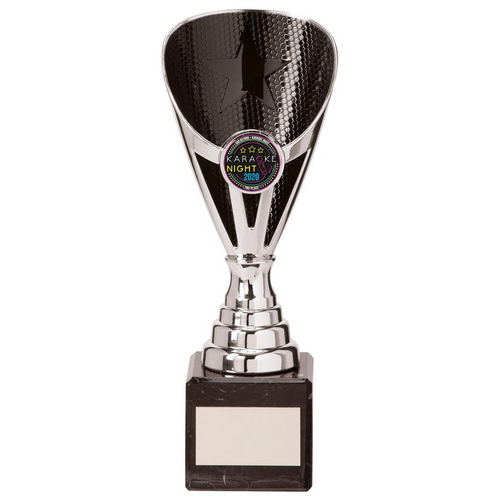 Rising Stars Premium Plastic Trophy | Silver & Black | 200mm | E4294B