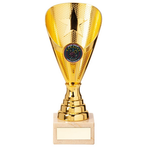 Rising Stars Premium Plastic Trophy | Gold | 185mm | G24