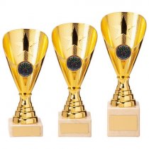Rising Stars Premium Plastic Trophy | Gold | 185mm | G24