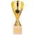 Rising Stars Premium Plastic Trophy | Gold | 200mm | E4293C - TR20542C
