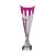Garrison Plastic Laser Cut Trophy Cup | Silver & Pink | 315mm | S7 - TR17574B