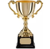 Canterbury Collection Gold Plated Trophy Cup | 235mm |