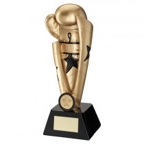 Ultima Boxing Star Trophy | 254mm |