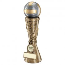 Invicta Volleyball Trophy | 279mm |