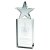 Orion Crystal Corporate Star Award | 254mm |  - JB1800C