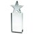 Orion Crystal Corporate Star Award | 203mm |  - JB1800A
