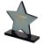 Star Smoked Crystal Corporate Award |10mm thick | 133mm |  - SM06A