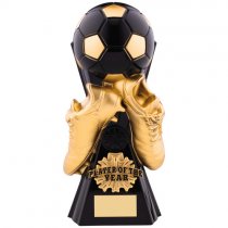 Player Of The Year Gravity | 260mm |