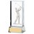 Golf Glass Block | 120mm | G7  - HGLG84B