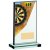 Darts Acrylic Trophy | 170mm | S136C  - HD206C