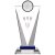 Darts Glass Trophy | 205mm | G7  - HGLM59B