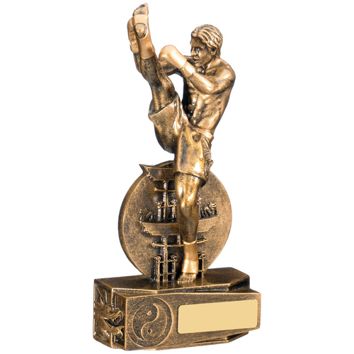Male Kickboxing Trophy | 195mm | G7
