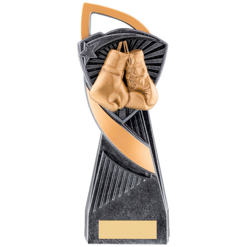 Utopia Boxing Trophy | 210mm | S134B