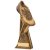 Running Shoe Storm Trophy | 215mm | G24  - HRM111C