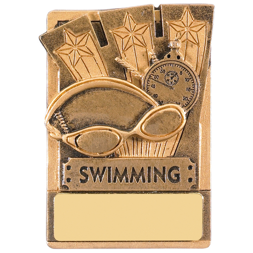 Fridge Magnet Swimming Trophy | 80mm | G7