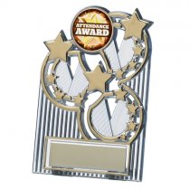 Gold Star Plaque | 110mm |