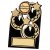 Black And Gold Acrylic Plaque | 110mm |  - HE191B