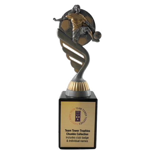 Chunkie Womens Football Volley Trophy | Silver & Gold | 205mm