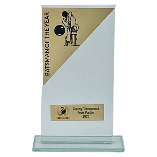 Geo Glass Cricket Trophy | Batsman OTY | Metal Trim | Gold & Black | 140mm