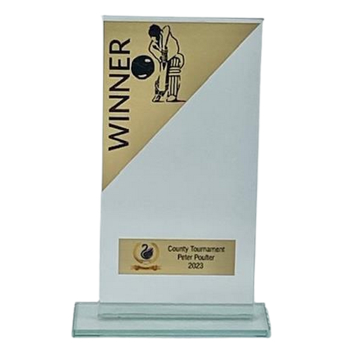 Geo Glass Cricket Trophy | Winner | Metal Trim | Gold & Black | 160mm