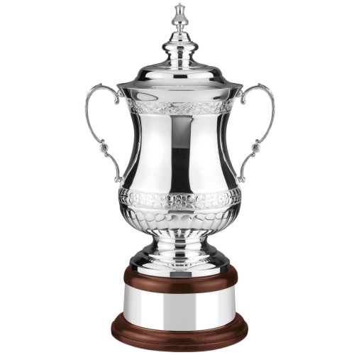 Swatkins Ultimate Heroes HC Award Complete | Mahogany Base | 483mm