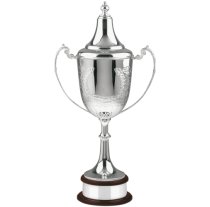 Swatkins Ultimate Champions HC Award Complete | Mahogany Base | 394mm
