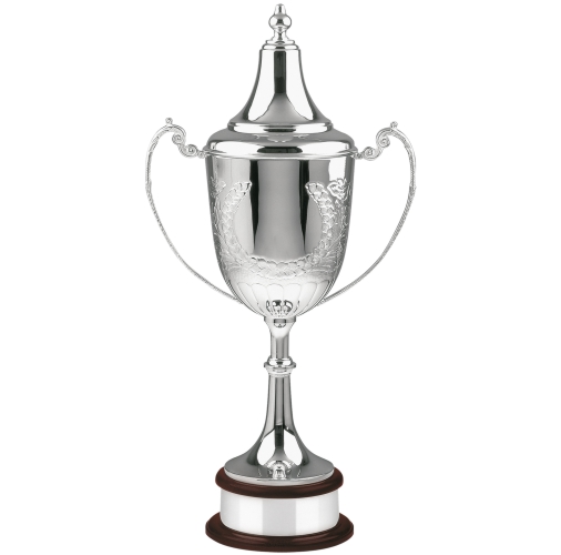 Swatkins Ultimate Champions HC Award Complete | Mahogany Base | 546mm