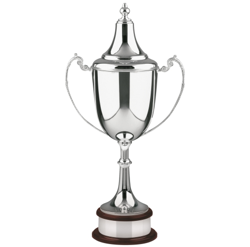 Swatkins Ultimate Champions Award Complete | Mahogany Base | 394mm