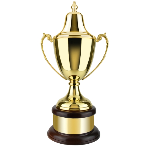 Swatkins GP Ultimate Riviera Award Complete | Mahogany Base | 521mm