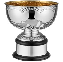 Swatkins Ultimate Liberty Bowl HC Award Complete | Mahogany Base | 273mm