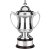 Swatkins Supreme Conquerors Award Complete | Mahogany Base | 305mm - L656A