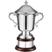 Swatkins Supreme League Champions Award Complete | Mahogany Base | 375mm