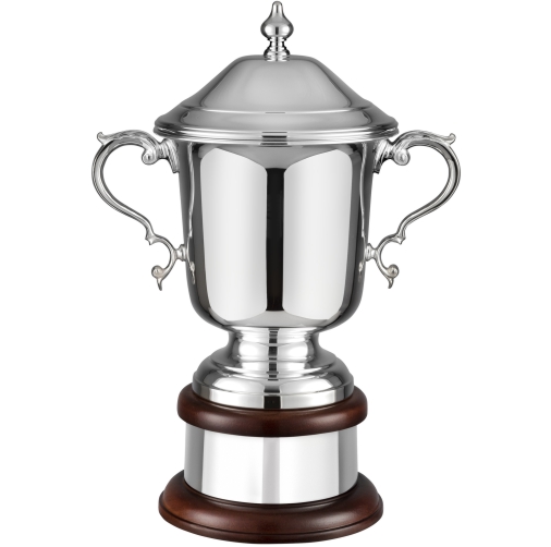 Swatkins Supreme League Champions Award Complete | Mahogany Base | 375mm