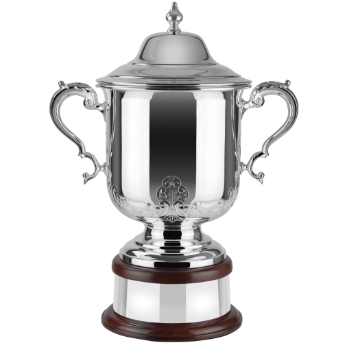 Swatkins Supreme League Champions HC Award Comp | Mahogany Base | 273mm