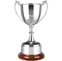 Swatkins Supreme Dafodil HC Award Complete | Rosewood Base | 292mm