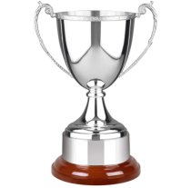 Swatkins Celtic Award | Rosewood Base | 311mm