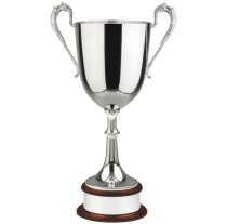 Swatkins Revolution Colossal Nickel Plated Award | Mahogany Base | 648mm