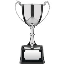Swatkins Advocate Award | Bakelite Base | 216mm