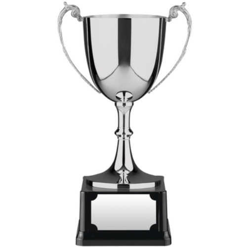 Swatkins Advocate Award | Bakelite Base | 216mm