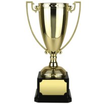 Endurance Gold Finish Award | Heavyweight Base | 165mm