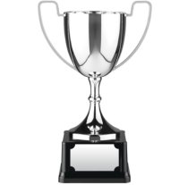 Endurance Award | Heavyweight Base | 197mm