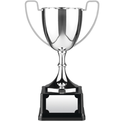 Endurance Award | Heavyweight Base | 197mm
