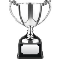 Endurance Award | Heavyweight Base | 305mm