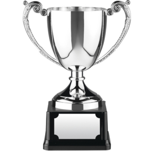 Endurance Award | Heavyweight Base | 305mm