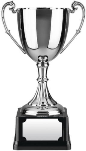 Endurance Award | Heavyweight Base | 292mm