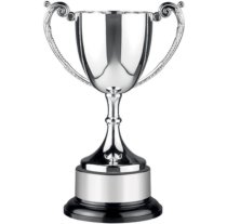Endurance Award | Bakelite Base | 184mm