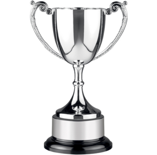 Endurance Award | Bakelite Base | 184mm