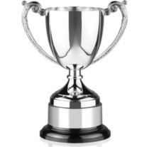Endurance Award | Bakelite Base | 305mm